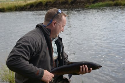 The fish safely returned to the water.